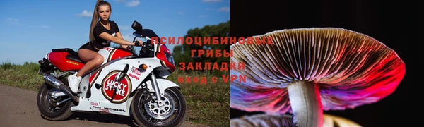 тгк Нефтекумск