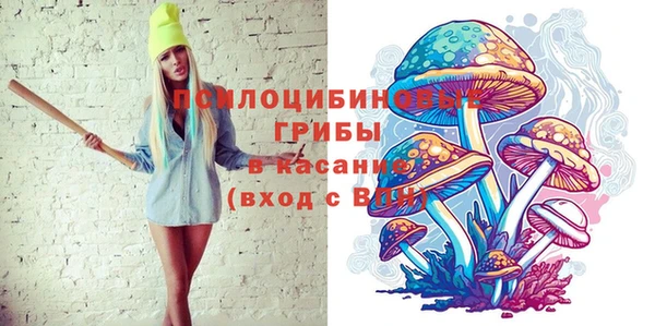 хмурый Нея