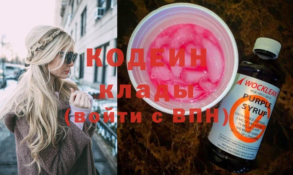 хмурый Нея