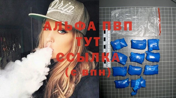 хмурый Нея