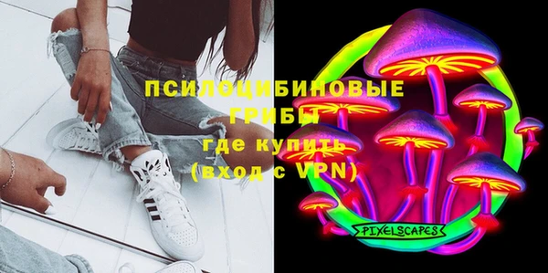 крисы Алагир
