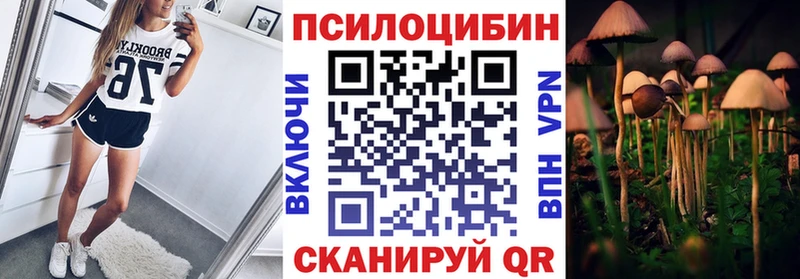 наркота  Хотьково  Псилоцибиновые грибы Cubensis 